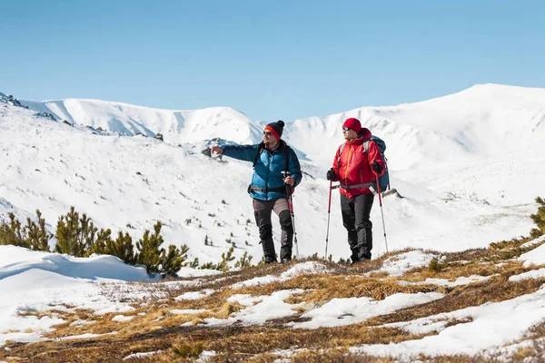 Zwei Bergsteiger Sind Winter Den Bergen Gegen Schneebedeckte Tannen Klettern — Stockfoto