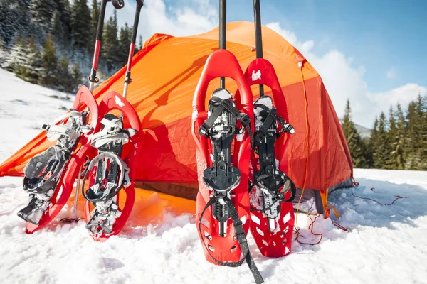 Schneeschuhe Und Wanderstöcke Der Nähe Des Zeltes Ausrüstung Für Eine — Stockfoto