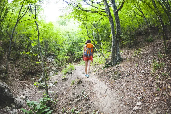 Het Meisje Loopt Door Het Bos Een Jonge Vrouw Met — Stockfoto