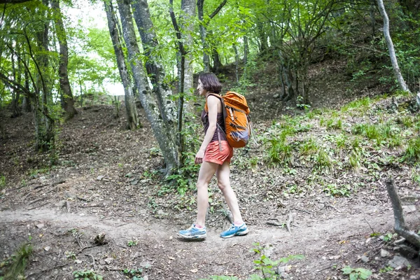 The girl is walking through the forest. A young woman with a backpack travels through picturesque places. A tourist walks along a mountain path. The brunette travels alone. Fisheye lens.