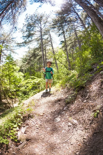 Niño Con Una Mochila Bosque Niño Camina Por Sendero Montaña —  Fotos de Stock