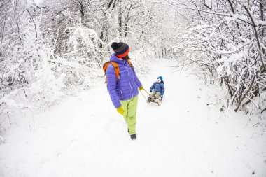 Bir kadın bir çocuk bir kızak üzerinde taşıyor. Anne oğlu ile karla kaplı orman yürür. Neşeli kış tatili. Kış eğlence. Bebek kızak üzerinde.