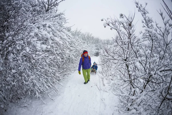 女性は そりに子供を抱えています ママは息子と雪歩道上について説明します 陽気な冬の休暇 冬の楽しみ — ストック写真