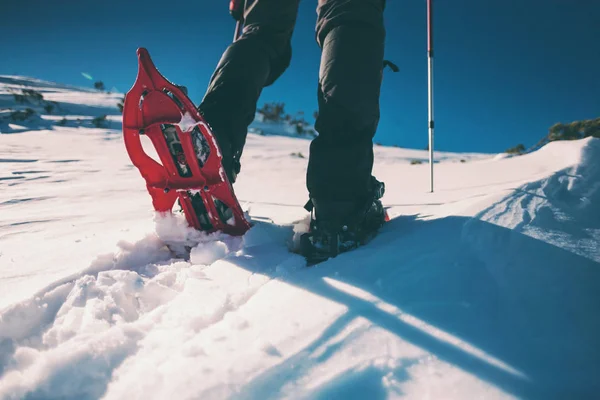 Mann Schneeschuhen Mit Trekkingstöcken Ausrüstung Für Das Gehen Auf Schnee — Stockfoto