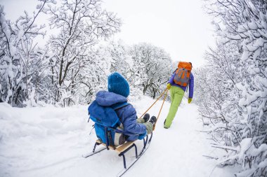 Bir kadın bir çocuk bir kızak üzerinde taşıyor. Anne oğlu ile kar izinde yürür. Neşeli kış tatili. Kış eğlence.