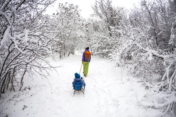 女性は そりに子供を抱えています Mom 雪に覆われた森の上彼女の息子と歩きます 陽気な冬の休暇 冬の楽しみ そりに赤ちゃん — ストック写真