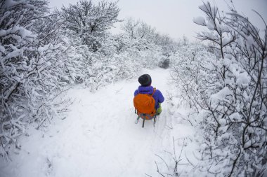 Dağdan bir kız bir kızak üzerinde sürmek. İniş bir atlı kızak üzerinde. Snow Hill. Neşeli kış tatil.