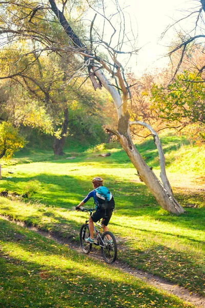 Jazda na rowerze w lesie. — Zdjęcie stockowe