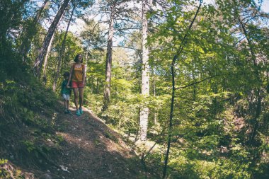 Bir kadın ve çocuk bir orman yolu yürümek. Bir sırt çantası ile bir çocuk annesi ile seyahat. Çocuk zammı. Çocuk çam Ormanda yürür. Etkin yaz tatili. Balık gözü lens.