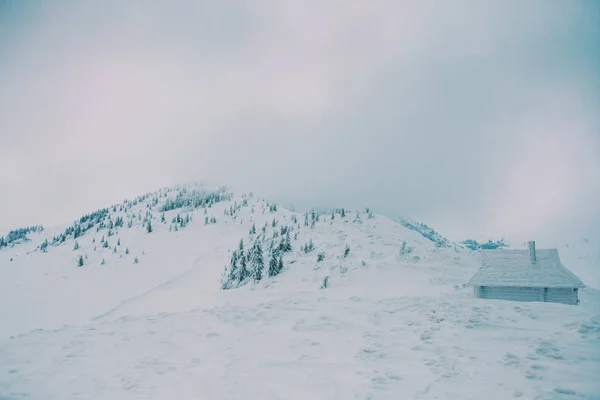 Маленький Будинок Горах Снігова Хатина Тлі Зимового Лісу Прекрасне Небо — стокове фото