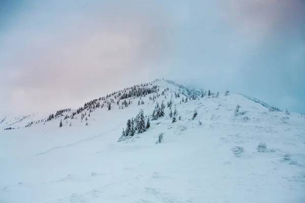Зимовий Пейзаж Горах Дерева Покриті Снігом Ранковий Туман Горах Небо — стокове фото