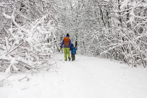 Jongen Loopt Met Zijn Moeder Aan Een Sneeuw Overdekte Bospad — Stockfoto