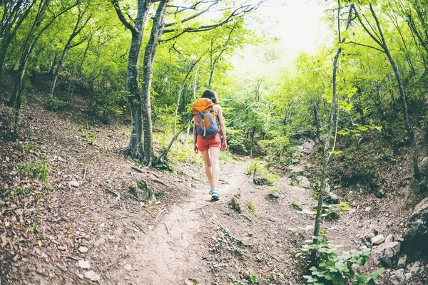 The girl is walking through the forest. A young woman with a backpack travels through picturesque places. A tourist walks along a mountain path. Fisheye lens.