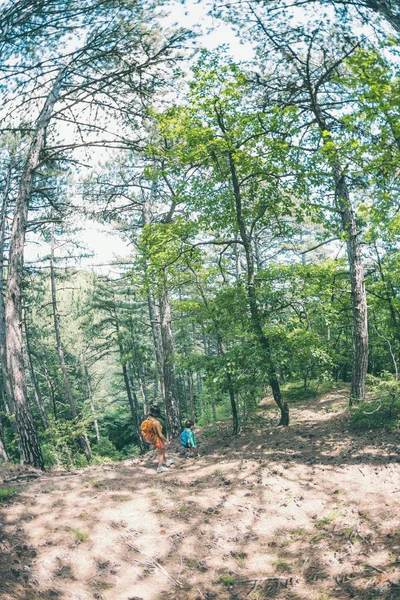 Bir Çocuk Ile Ormanda Seyahat Oğlan Annesi Orman Yolu Yürüyüş — Stok fotoğraf