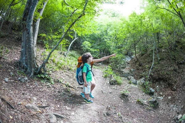 Bir kadın ve çocuk bir orman yolu yürümek. Bir sırt çantası ile bir çocuk annesi ile seyahat. Çocuk zammı. Çocuk çam Ormanda yürür. Etkin yaz tatili. Balık gözü lens.