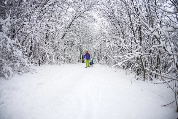 女性は そりに子供を抱えています ママは息子と雪歩道上について説明します 陽気な冬の休暇 冬の楽しみ そりに赤ちゃん — ストック写真