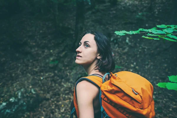 The girl is walking through the forest. A young woman with a backpack travels through picturesque places. A tourist walks along a mountain path.