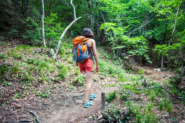 Flickan Promenader Genom Skogen Ung Kvinna Med Ryggsäck Färdas Genom — Stockfoto