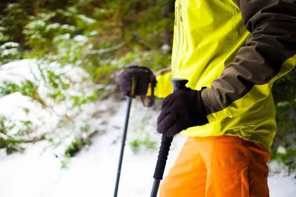 雪に覆われた森 冬ハイキングの背景手にトレッキング ポールを保持します — ストック写真