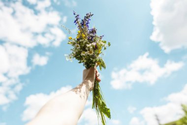 Mavi gökyüzüne karşı kır çiçekleri buketi. Güzel gökyüzü bulutlu. Bir kadın eli bir buket tutar.
