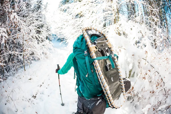 冬の山の中でバックパックやスノーシューを持つ女性 風光明媚な場所への旅行 トレッキングスティック付きのブロンドの肖像画 観光客は雪の森を歩く 女の子は道を歩く — ストック写真