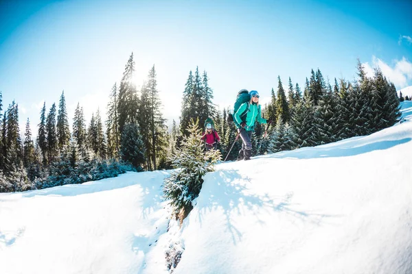 Dwie Kobiety Zimowej Wędrówce Dziewczyny Kijkami Trekkingowymi Pokrytej Śniegiem Ścieżce — Zdjęcie stockowe