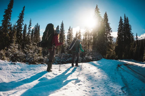 冬のハイキングで2人の女性 トレッキングポールを持つガールフレンドは雪に覆われた山道にあります バックパックとスノーシューを持つ女の子が一緒に旅行します 仲間はモミの森の中を晴れた日に歩く — ストック写真