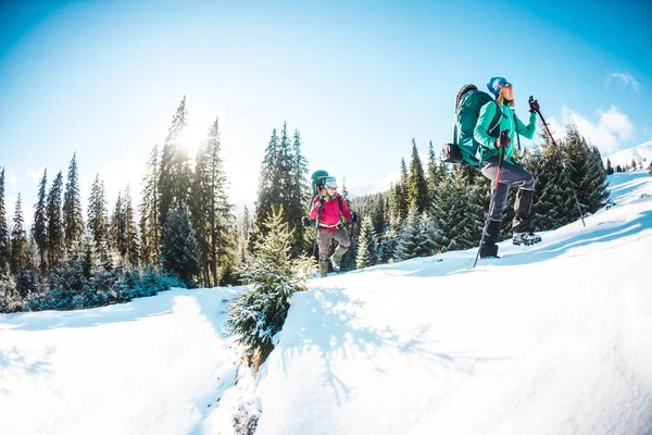 Dos Mujeres Una Caminata Invierno Las Amigas Con Bastones Trekking —  Fotos de Stock