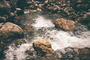 Dağ dere ve büyük taşlar. Ormandaki fırtınalı creek yakın çekim. Nehir kıyısında büyük ıslak taşlar. Küçük şelale.