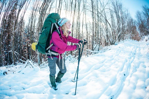 冬天徒步的女人 一个拿着徒步杆 背包和雪鞋的女孩走在一条被雪覆盖的山路上 游客沿着森林路走 — 图库照片