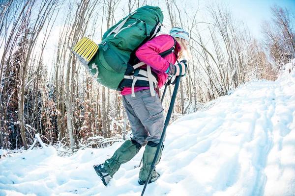 Frau Bei Einer Winterwanderung Ein Mädchen Mit Wanderstöcken Rucksack Und — Stockfoto