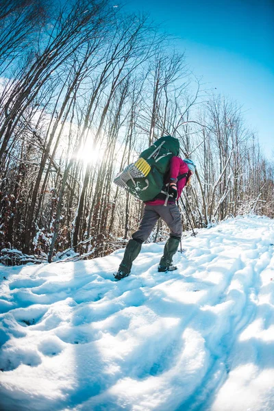 冬ハイキングの女性 スノーシュー バックパック トレッキング ポールを持つ少女は 雪の覆われた山道を歩いています 観光は 作業道に沿って行く — ストック写真