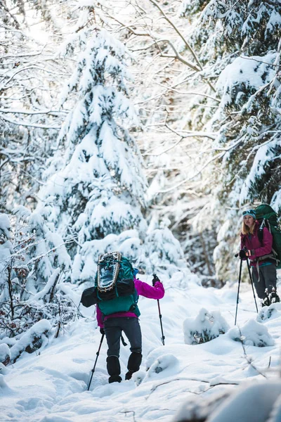 Two Women Winter Hike Girlfriends Trekking Poles Snow Covered Mountain — Stock Photo, Image
