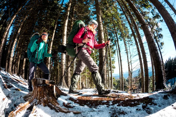 Deux Voyageurs Rapprochent Les Copines Sont Dans Forêt Hiver Deux — Photo