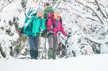 Kış yürüyüşünde iki kadın. Yürüyüş direkleri olan kızlar karla kaplı bir dağ yolundalar. Sırt çantalı ve kar ayakkabılı kızlar birlikte seyahat eder. Dostlar güneşli bir günde yürür köknar ormanında.