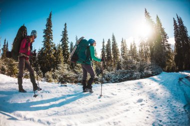 Kış yürüyüşünde iki kadın. Yürüyüş direkleri olan kızlar karla kaplı bir dağ yolundalar. Sırt çantalı ve kar ayakkabılı kızlar birlikte seyahat eder. Dostlar güneşli bir günde yürür köknar ormanında.