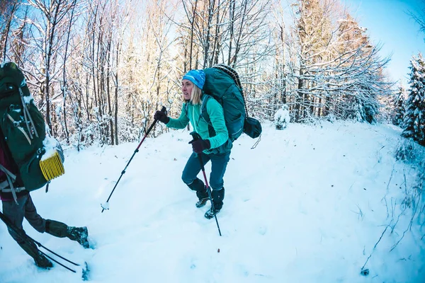 Deux Femmes Randonnée Hivernale Les Copines Avec Des Bâtons Trekking — Photo