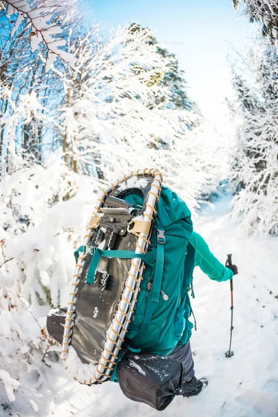 在冬天的山上背着背包和雪鞋的女人去风景秀丽的地方旅行 一个带着手杖的金发美女的画像 一个游客穿过白雪覆盖的森林 女孩沿着小路走着 — 图库照片