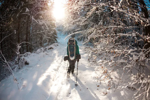 冬の山の中でバックパックやスノーシューを持つ女性 風光明媚な場所への旅行 トレッキングスティック付きブロンド 観光客は雪の森を歩く 女の子は道を歩く — ストック写真