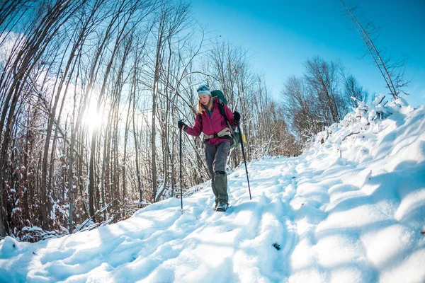 冬の山の中でバックパックやスノーシューを持つ女性 風光明媚な場所への旅行 トレッキングスティック付きのブロンドの肖像画 観光客は雪の森を歩く 女の子は道を歩く — ストック写真