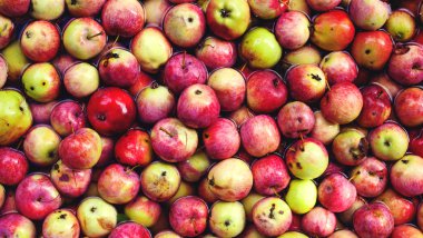 Elma suyun içinde yalan. hasat apple ürün. elma suyu ve gıda için.