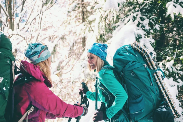 Две Улыбающиеся Женщины Зимнем Походе Подружки Треккинговыми Палками Находятся Заснеженной — стоковое фото