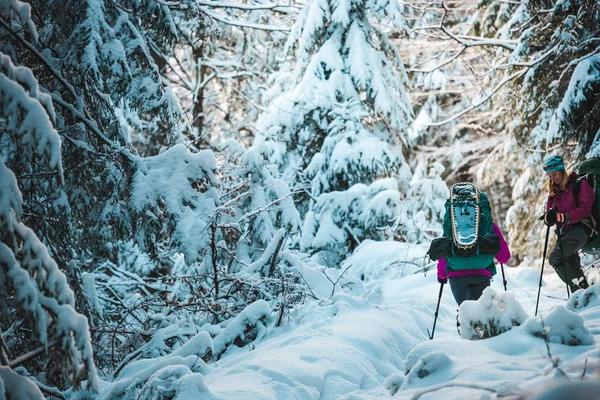 Dvě Ženy Zimní Túře Přítelkyně Trekingovými Tyčemi Jsou Zasněžené Horské — Stock fotografie
