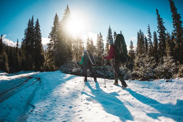 Dwie Kobiety Zimowej Wędrówce Dziewczyny Kijkami Trekkingowymi Pokrytej Śniegiem Ścieżce — Zdjęcie stockowe