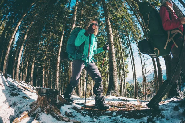 2人の旅行者が閉じます 彼女たちは冬の森にいる 冬のハイキングでバックパックとトレッキングポールを持つ2人の女性 雪に覆われたパスに沿ってお友達と歩く 山の中の女の子 — ストック写真