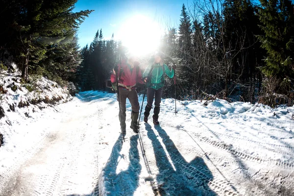Twee Vrouwen Een Winterwandeling Vriendinnen Met Wandelstokken Liggen Een Besneeuwd — Stockfoto
