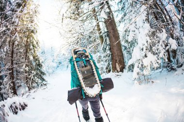 Kış dağlarında sırt çantalı ve kar ayakkabılı bir kadın. Manzaralı yerlere git. Yürüyüş sopalı bir sarışın. Karlı bir ormanda bir turist yürüyor. Kız yol boyunca yürür.