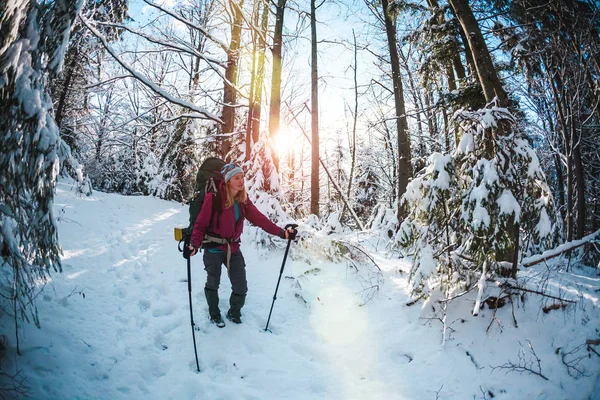 Kış dağlarında sırt çantalı ve kar ayakkabılı bir kadın. Manzaralı yerlere git. Yürüyüş sopalı bir sarışın. Karlı bir ormanda bir turist yürüyor. Kız yol boyunca yürür.