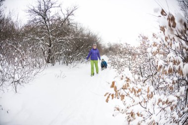 Bir kadın bir çocuk bir kızağa alır. Bir çocuk annesi kış ormanı ile yürür. Çocuk ile bir kızakta kar üzerinden gidiyor. Kış tatili. Anne ile eğlenceli eğlence.