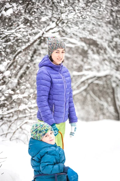 Жінка Катає Хлопчика Санях Дитина Гуляє Матір Через Зимовий Ліс — стокове фото